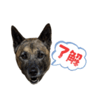 こなつとつむぎたち（個別スタンプ：14）