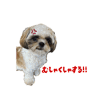 こなつとつむぎたち（個別スタンプ：24）