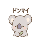 すやコアラのまったり日常スタンプ（個別スタンプ：19）