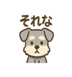 ひとことシュナの一言スタンプ（個別スタンプ：1）