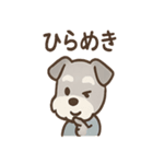 ひとことシュナの一言スタンプ（個別スタンプ：5）