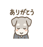 ひとことシュナの一言スタンプ（個別スタンプ：29）