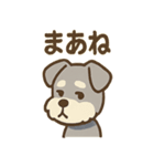 ひとことシュナの一言スタンプ（個別スタンプ：38）