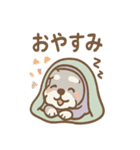 しのびシュナの忍術スタンプ 毎日（個別スタンプ：19）