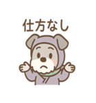 しのびシュナの忍術スタンプ 毎日（個別スタンプ：24）