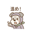 しのびシュナの忍術スタンプ 毎日（個別スタンプ：28）
