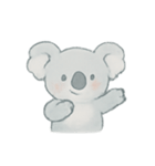 ふわふわコアラ癒しパック（個別スタンプ：1）