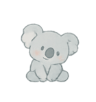 ふわふわコアラ癒しパック（個別スタンプ：12）