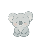 ふわふわコアラ癒しパック（個別スタンプ：19）