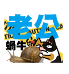 ニャー3びっくり（個別スタンプ：12）