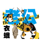 ニャー3びっくり（個別スタンプ：15）