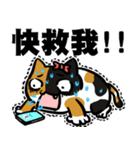 ニャー3びっくり（個別スタンプ：21）