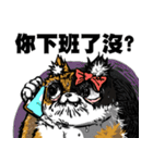 ニャー3びっくり（個別スタンプ：24）