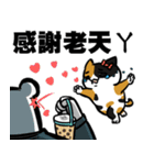 ニャー3びっくり（個別スタンプ：29）