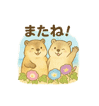 ほっこりマーモット（個別スタンプ：3）