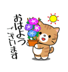 飛び出す！夏の茶トラねこ（個別スタンプ：2）