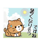 飛び出す！夏の茶トラねこ（個別スタンプ：3）