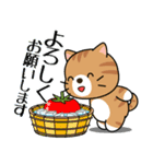 飛び出す！夏の茶トラねこ（個別スタンプ：4）