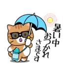 飛び出す！夏の茶トラねこ（個別スタンプ：6）