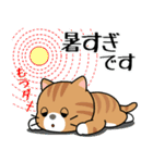 飛び出す！夏の茶トラねこ（個別スタンプ：7）