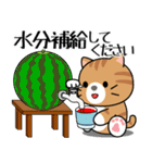 飛び出す！夏の茶トラねこ（個別スタンプ：8）