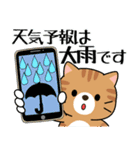 飛び出す！夏の茶トラねこ（個別スタンプ：9）