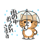 飛び出す！夏の茶トラねこ（個別スタンプ：10）