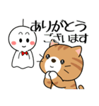 飛び出す！夏の茶トラねこ（個別スタンプ：16）