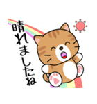 飛び出す！夏の茶トラねこ（個別スタンプ：17）