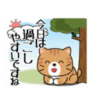 飛び出す！夏の茶トラねこ（個別スタンプ：18）