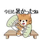 飛び出す！夏の茶トラねこ（個別スタンプ：21）
