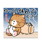 飛び出す！夏の茶トラねこ（個別スタンプ：24）