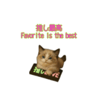 ラグドール子猫の推し活（個別スタンプ：14）