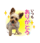 Cuteなアイちゃんスタンプ（個別スタンプ：1）