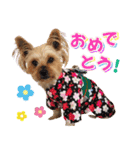 Cuteなアイちゃんスタンプ（個別スタンプ：4）