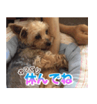 Cuteなアイちゃんスタンプ（個別スタンプ：7）