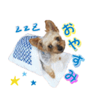 Cuteなアイちゃんスタンプ（個別スタンプ：8）