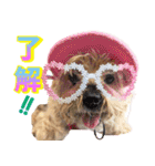 Cuteなアイちゃんスタンプ（個別スタンプ：14）