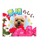 Cuteなアイちゃんスタンプ（個別スタンプ：19）