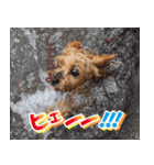 Cuteなアイちゃんスタンプ（個別スタンプ：21）