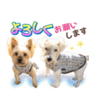Cuteなアイちゃんスタンプ（個別スタンプ：26）
