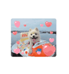 Cherry animation（個別スタンプ：1）