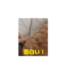 ちゃぴもかすみこ第6弾（個別スタンプ：3）