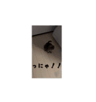 ちゃぴもかすみこ第6弾（個別スタンプ：4）