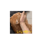 ちゃぴもかすみこ第6弾（個別スタンプ：5）