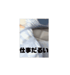 ちゃぴもかすみこ第6弾（個別スタンプ：6）
