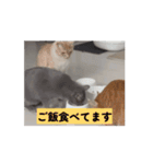 ちゃぴもかすみこ第6弾（個別スタンプ：8）