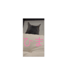 ちゃぴもかすみこ第6弾（個別スタンプ：9）