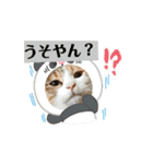 わらびとつむ（個別スタンプ：5）