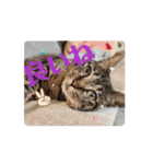 わらびとつむ（個別スタンプ：9）